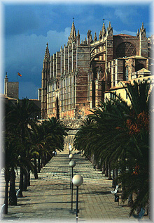 palma